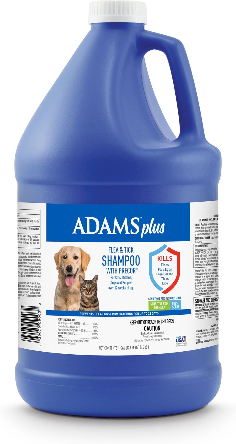 does dog shampoo kill lice