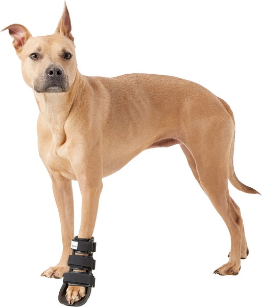 HandicappedPets Bootie Style Dog Leg Splint, Large slide 1 of 8