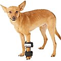 Walkin' Pets Carpal Style Front Leg Dog Splint, X-Small