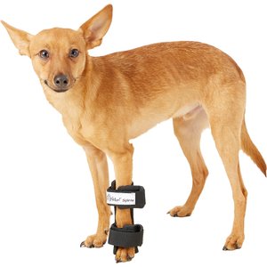 HandicappedPets Carpal Style Front Leg Dog Splint, X-Small