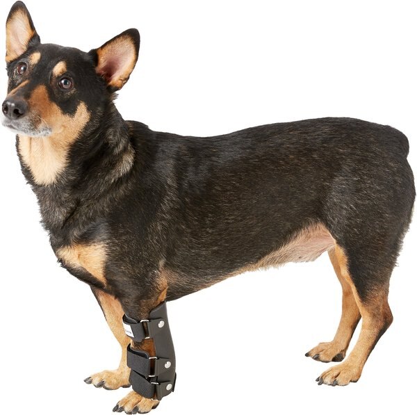 Walkin' Pets Carpal Style Front Leg Dog Splint, Small slide 1 of 7