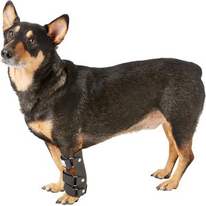 Walkin' Pets Carpal Style Front Leg Dog Splint, Small
