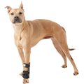 HandicappedPets Carpal Style Front Leg Dog Splint, Large