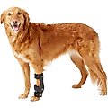 Walkin' Pets Carpal Style Front Leg Dog Splint, X-Large