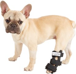 Walkin' Pets Hock Style Rear Leg Dog Splint, X-Small