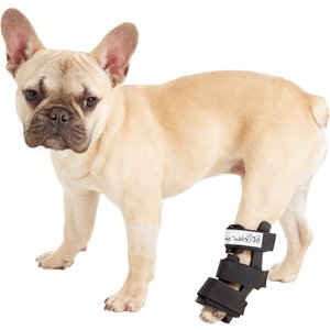 Walkin Pet Splint for Dogs Canine Hock Style Leg Splint with Foam Inserts for a More Custom Fit 