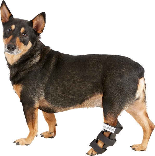 Walkin' Pets Hock Style Rear Leg Dog Splint, Small slide 1 of 8