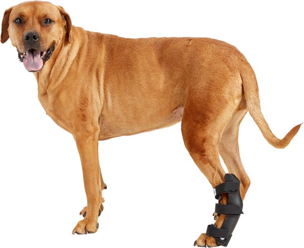HandicappedPets Hock Style Rear Leg Dog Splint, Medium slide 1 of 7