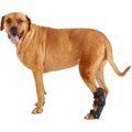 Walkin' Pets Hock Style Rear Leg Dog Splint, Medium