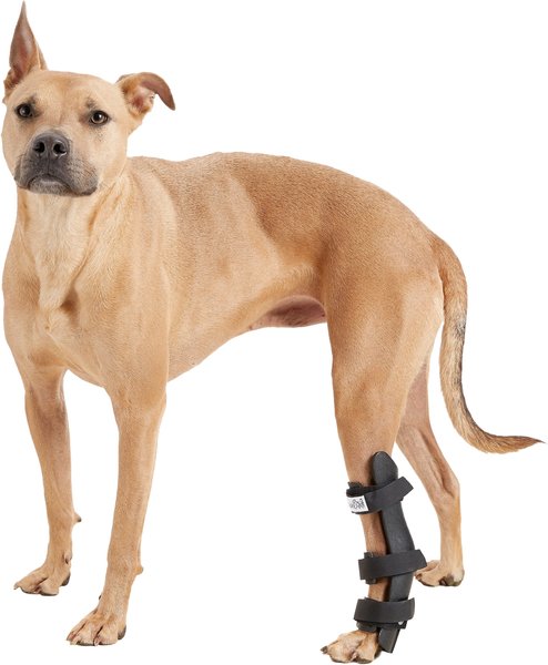 Walkin' Pets Hock Style Rear Leg Dog Splint, Large slide 1 of 6