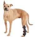 Walkin' Pets Hock Style Rear Leg Dog Splint, Large