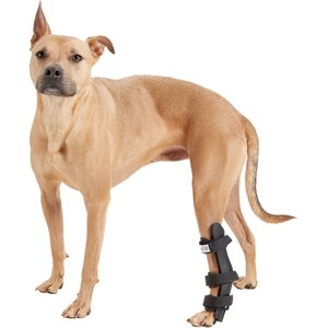 HandicappedPets Hock Style Rear Leg Dog Splint, Large