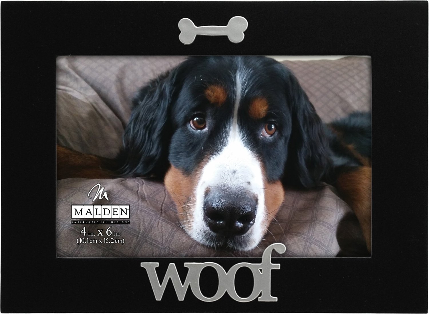 MALDEN INTERNATIONAL DESIGNS "Woof" Dog Picture Frame, 4 x 6 in