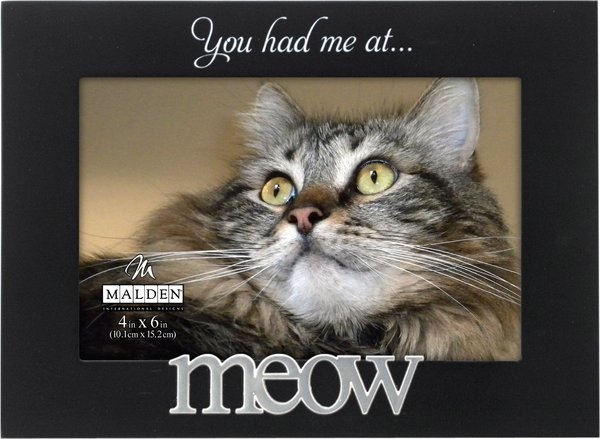 Malden International Designs "You had me at… Meow" Cat Picture Frame, 4 x 6 in slide 1 of 1