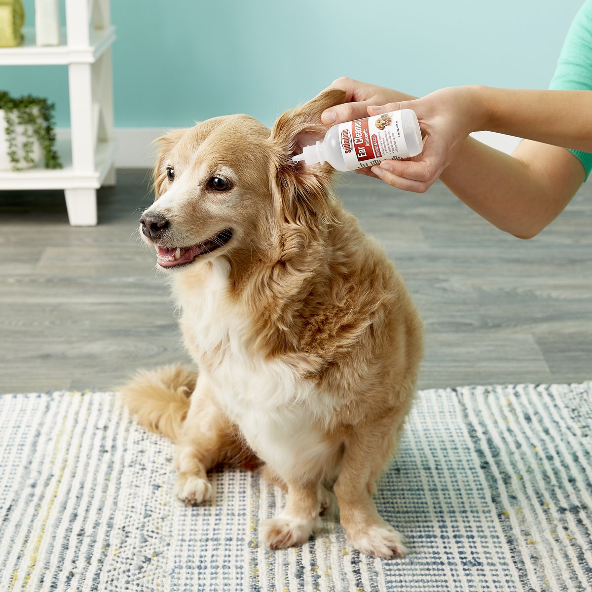 SULFODENE Ear Cleaner Antiseptic for Dogs & Cats, 4oz