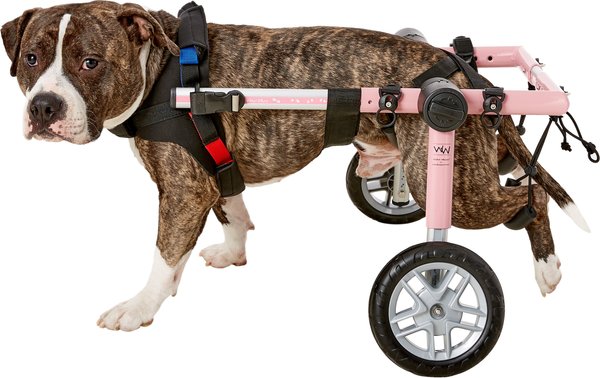 Dog Wheelchair, Wheels for Dogs, Walkin' Wheels