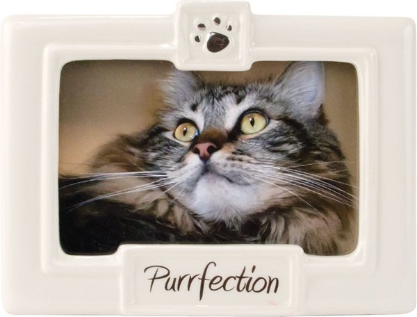 Malden International Designs "Purrfection" Cat Picture Frame slide 1 of 1
