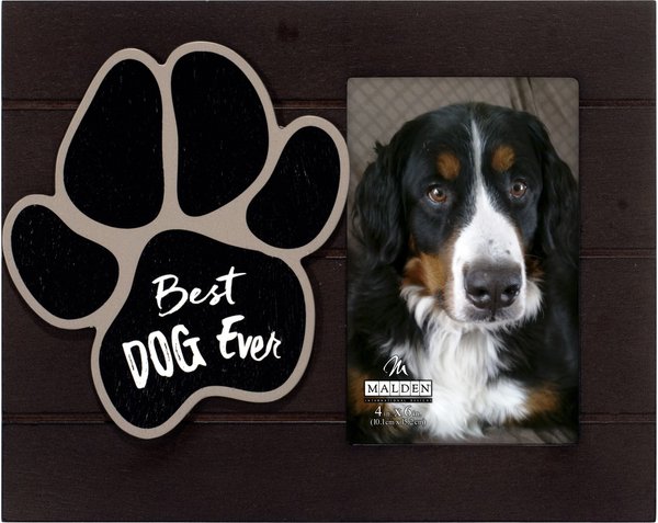 Malden International Designs "Best Dog Ever" Dog Picture Frame, 4 x 6 in slide 1 of 1