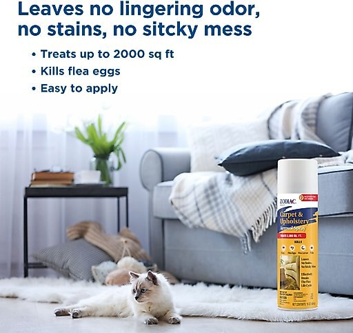 Zodiac Carpet & Upholstery Flea & Tick Aerosol Spray, 16-oz