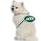 Show in main carousel: Littlearth NFL Fan Chain for Dogs & Cats, New York Jets slide 3 of 6