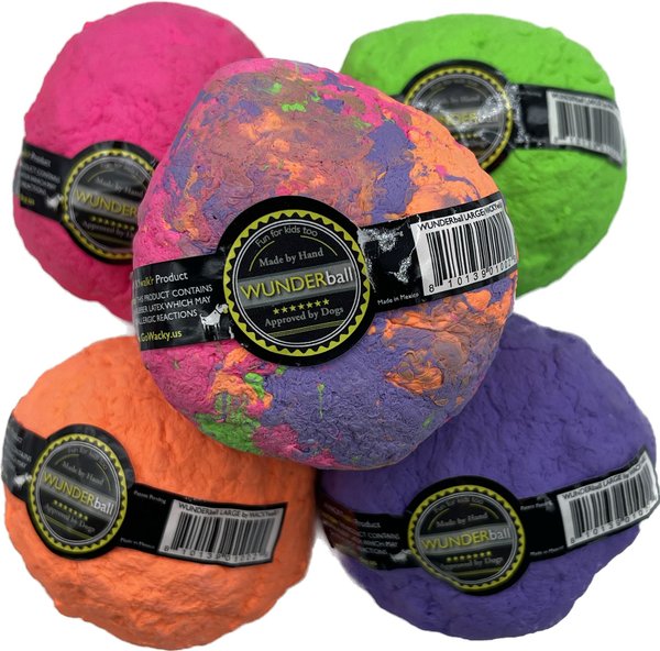 WACKYWALK'R WUNDERBALL Fetch Dog Toy, Color Varies, Large - Chewy.com