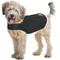 Show in main carousel: ZenPet Anxiety Vest for Dogs, XX-Large slide 5 of 9