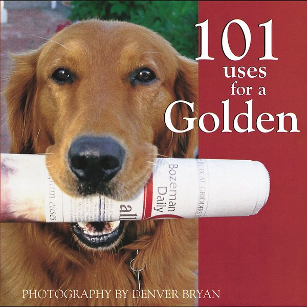 101 Uses for A Golden slide 1 of 9