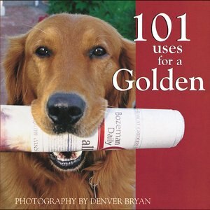101 Uses For A Golden