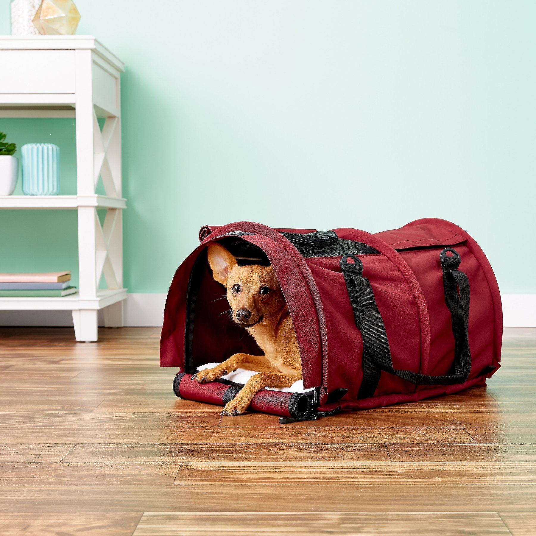  SturdiBag XL Pet Travel Carrier: Flexible Height for Cat and  Dog Soft Sided with Safety Clips and Seatbelt Straps