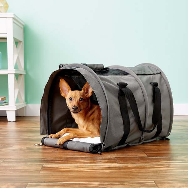  SturdiBag XL Pet Travel Carrier: Flexible Height for Cat and  Dog Soft Sided with Safety Clips and Seatbelt Straps