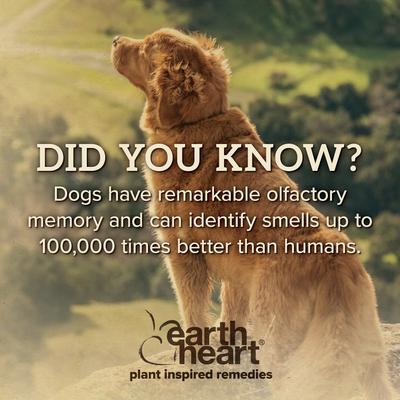 Show full view: Earth Heart Canine Calm Calming Spray for Dogs, 2-oz slide 8 of 10