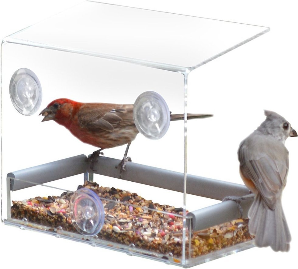 luxury window bird feeder