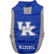 Pets First NCAA Michigan Dog & Cat Puffer Vest