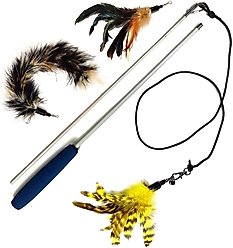 Pet Fit For Life 2 Feathers & 1 Coon Tail Wand Cat Toy