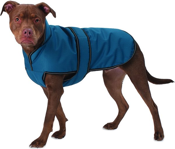 PETRAGEOUS DESIGNS Juneau Insulated Dog Jacket, Teal, Large - Chewy.com