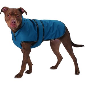 PetRageous Designs Juneau Insulated Dog Jacket, Teal, Large