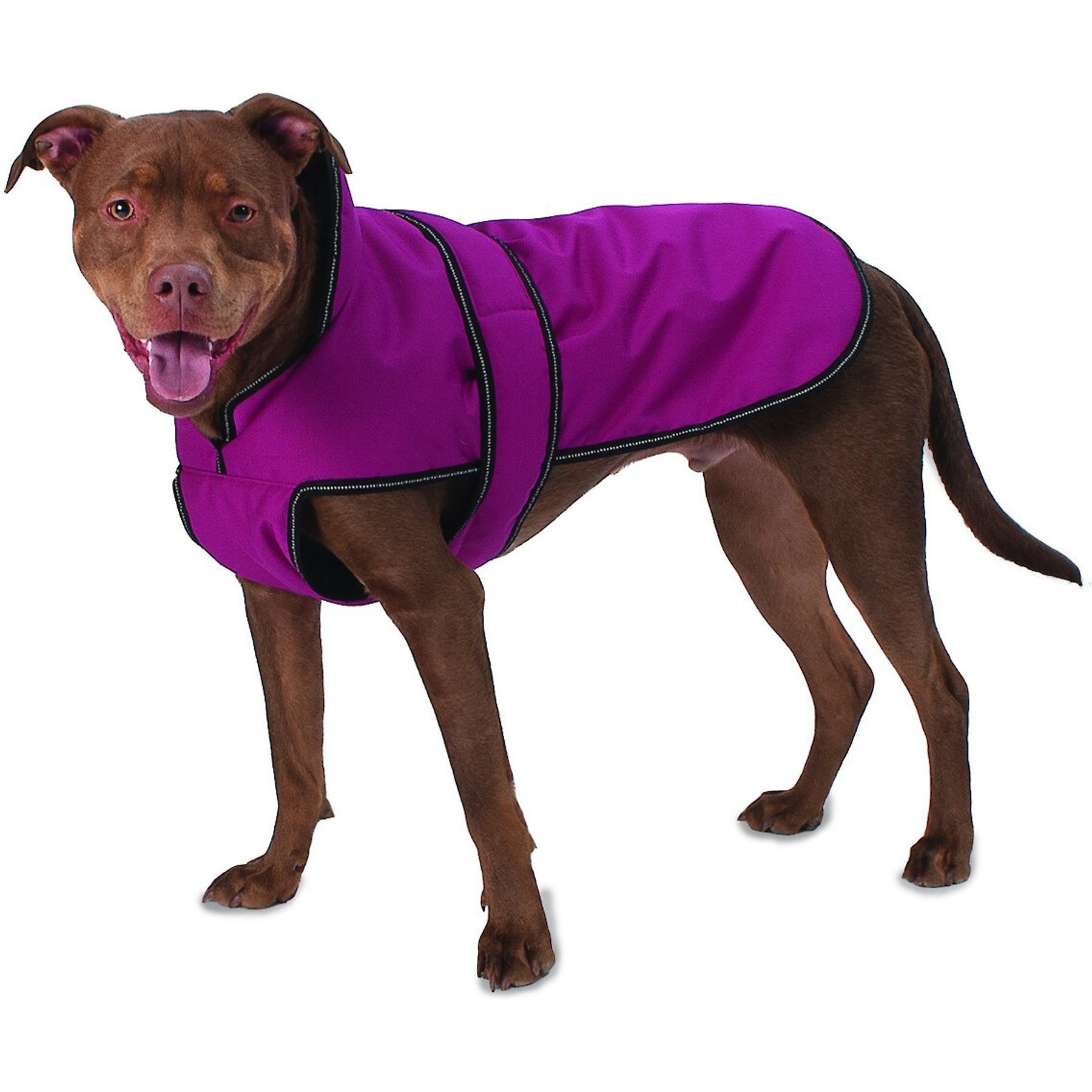 PETRAGEOUS DESIGNS Juneau Insulated Dog Jacket, Magenta, Large - Chewy.com