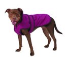 PetRageous Designs Juneau Insulated Dog Jacket, Magenta, Large