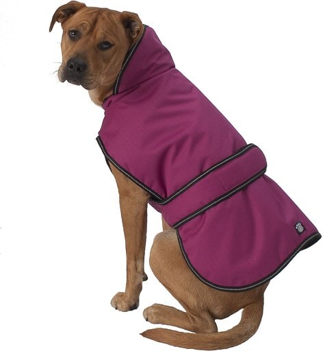 PetRageous Designs Juneau Insulated Dog Jacket, Magenta, X-Large