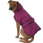 PETRAGEOUS DESIGNS Juneau Insulated Dog Jacket, Teal, X-Large - Chewy.com