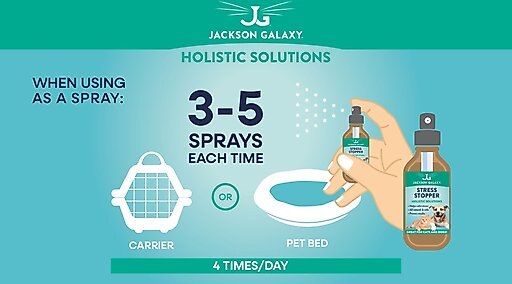 Jackson Galaxy Solutions Solutions Easy Breather Homeopathic Medicine for Respiratory Infections for Cats & Dogs, 2-oz