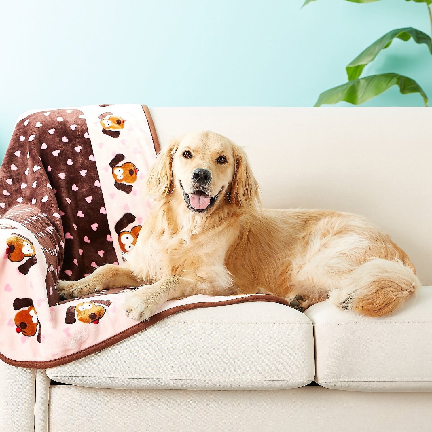 SMART PET LOVE Heart Pattern Dog Blanket, Pink - Chewy.com