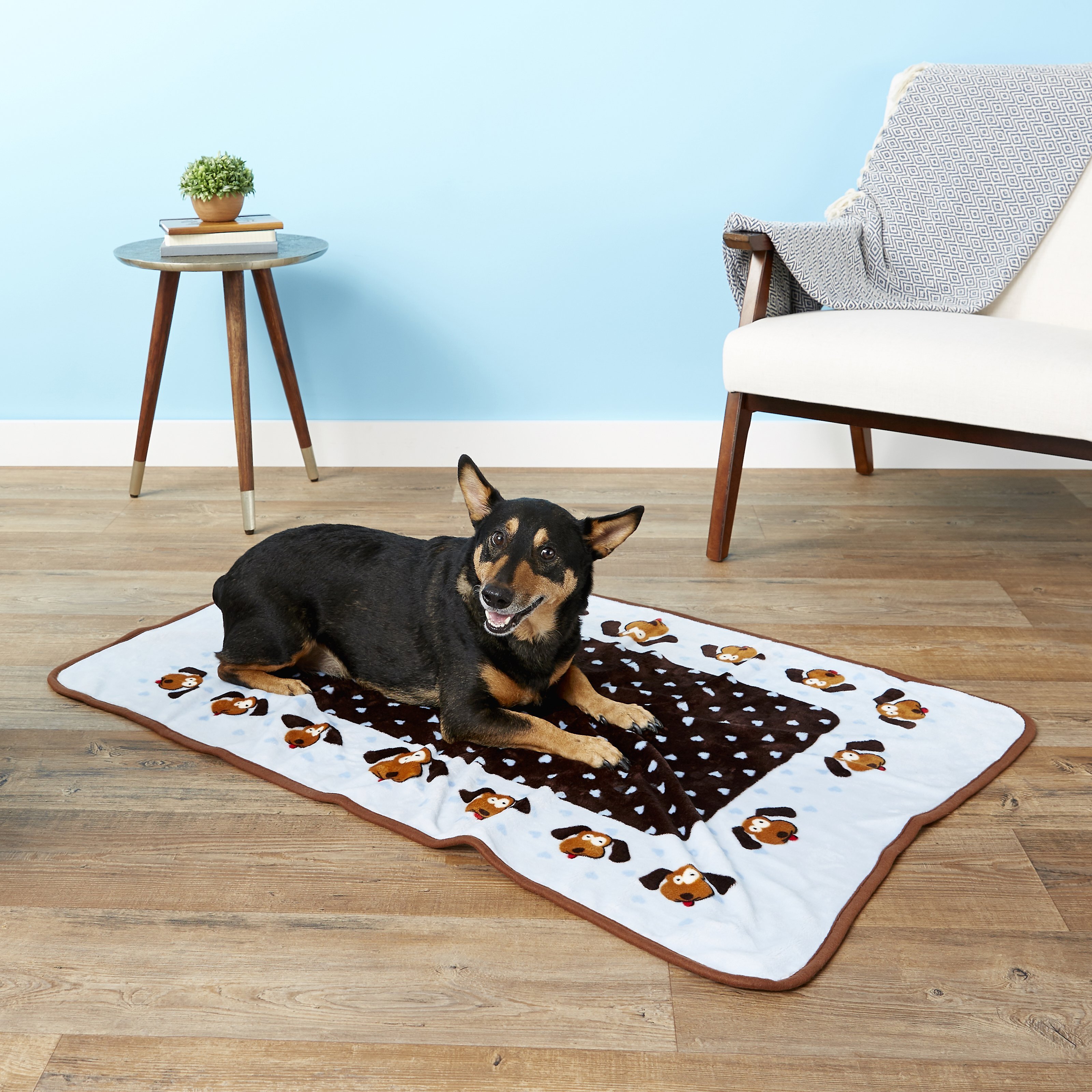 Chewy Pattern Questions and Answers about SMART PET LOVE Heart Pattern Dog Blanket