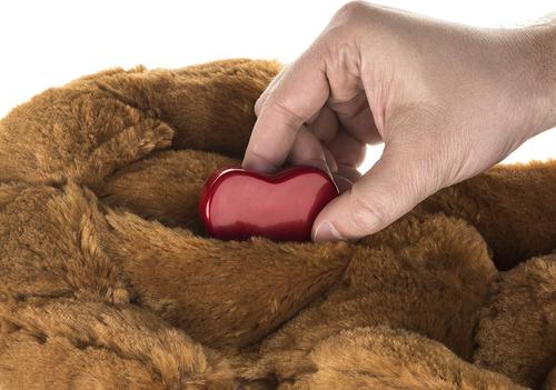 Show full view: Smart Pet Love Snuggle Puppy New Puppy Starter Kit, Pink slide 8 of 11