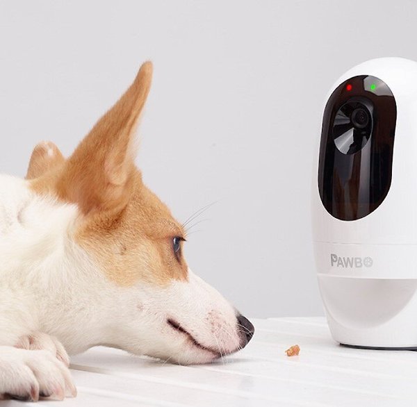 Pawbo+ Wi-Fi Interactive Pet Camera & Treat Dispenser slide 1 of 11