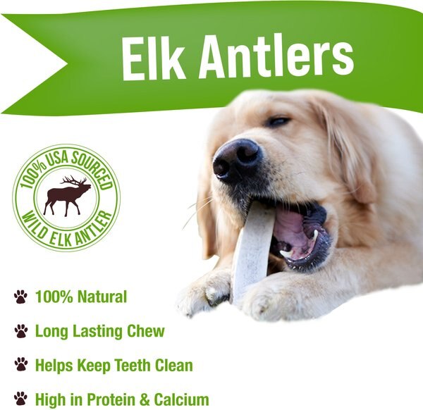 EcoKind Whole Elk Antler Dog Chews, 1-lb bag
