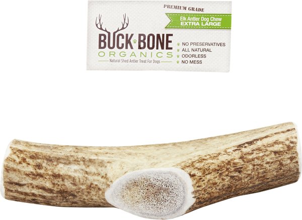 BUCK BONE ORGANICS Whole Elk Antler Dog Chews 8 10 in Chewy