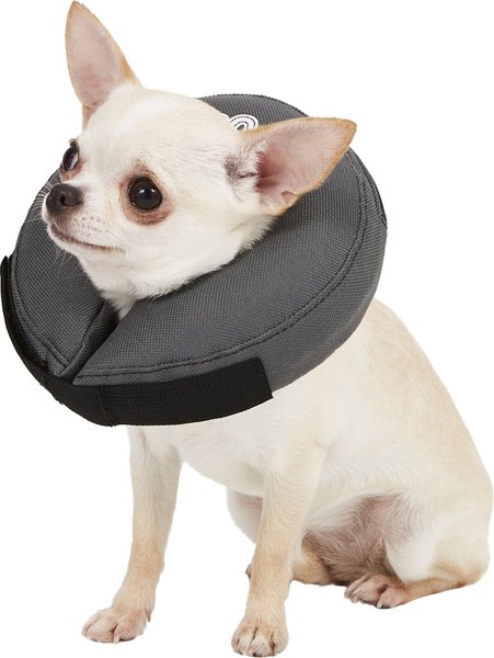 ZenPet ZenCollar Inflatable Recovery Dog & Cat Collar, X-Small slide 1 of 9