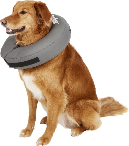 ZenPet ZenCollar Inflatable Recovery Dog & Cat Collar, Large slide 1 of 8