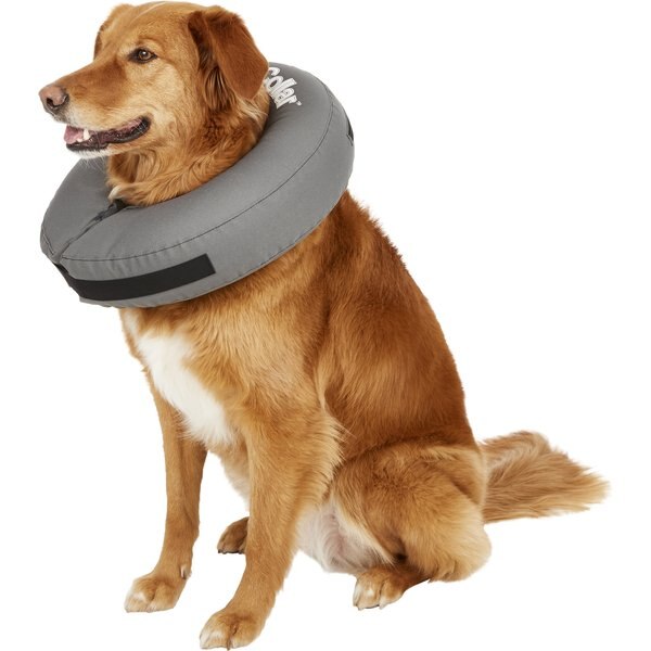 ZENPET ZenCone Soft Recovery Dog & Cat Collar, Large